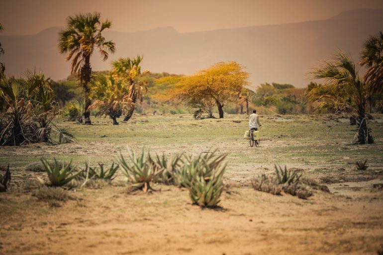 Person riding a bicycle through a dry, grassy landscape with palm trees and distant mountains.