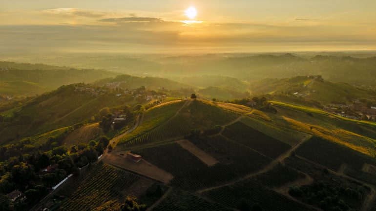 Aerial view of rolling green hills and vineyards at sunset with scattered houses and golden sunlight.