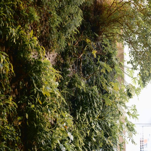 A lush indoor green wall with various plants beside glass doors and an exit sign in a bright space.