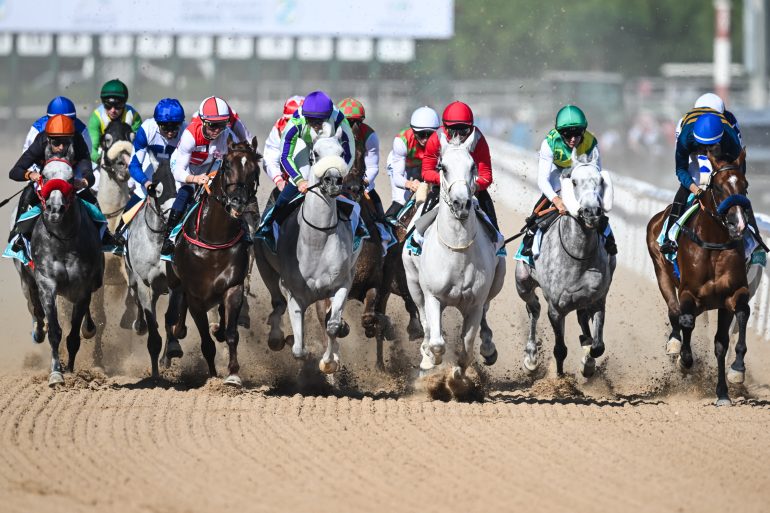 A group of jockeys riding horses race down a sandy track in a horse race.