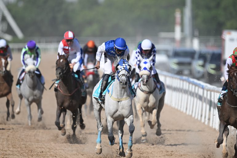 Several jockeys riding horses race on a dirt track, with two gray horses leading the pack.
