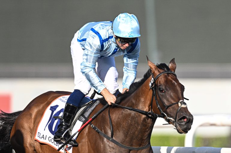 Jockey in light blue silks riding a racehorse during a horse race, both focused and in motion.