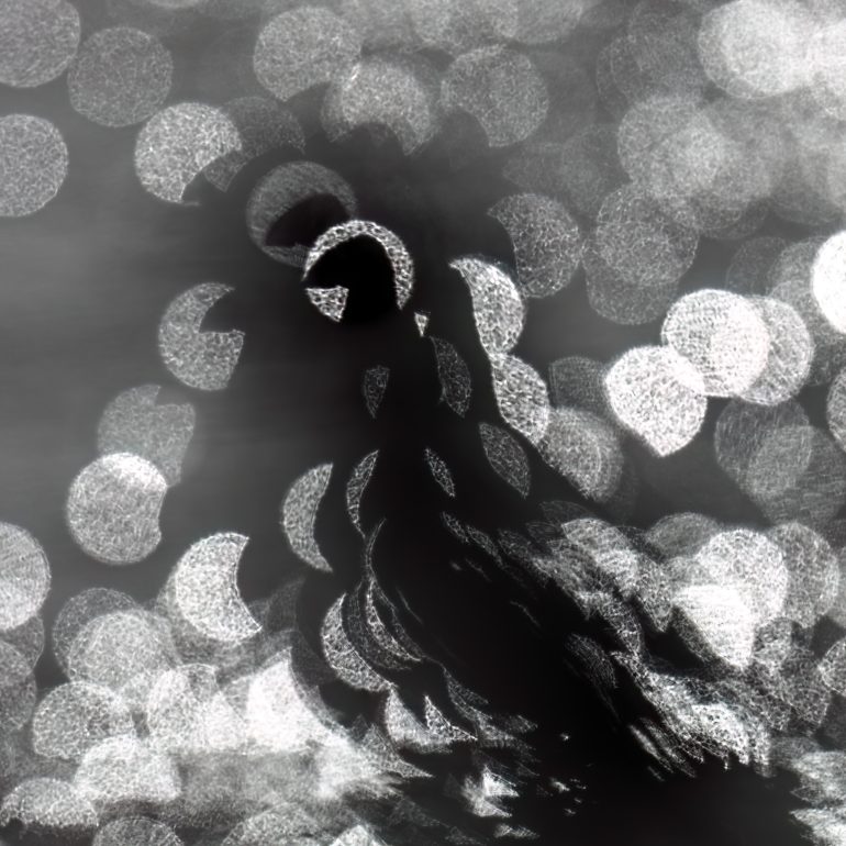 A silhouetted bird on water with sparkling, out-of-focus light circles in the background.