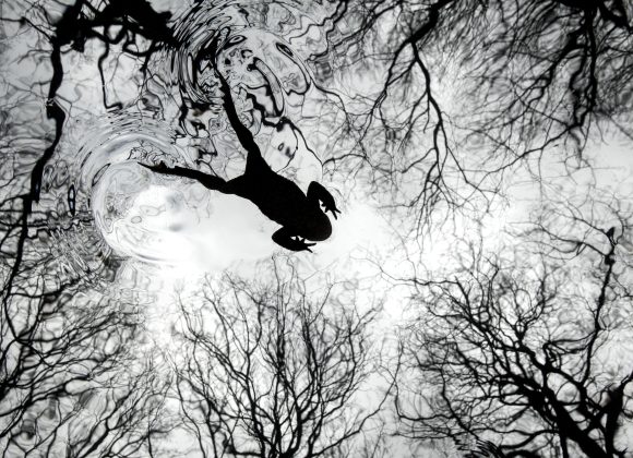 Silhouette of a person swimming, reflected in water surrounded by bare tree branches.