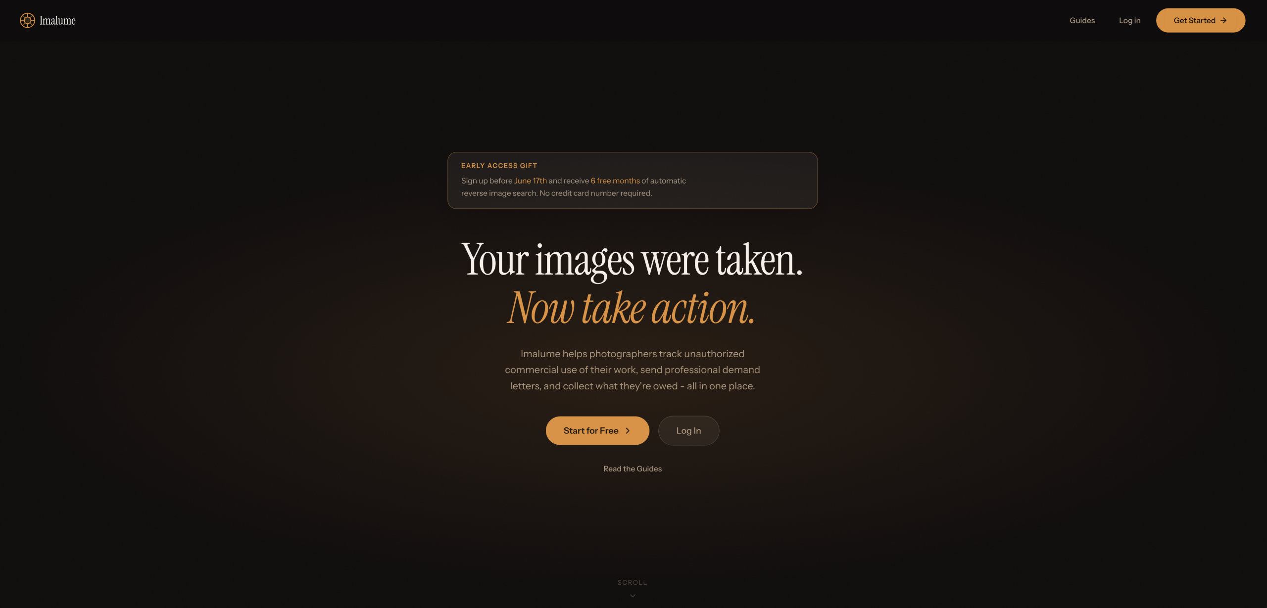 Imalume Tracked Down Photo Thieves. Then They Paid $7,000 A dark website homepage with the text: Your images were taken. Now take action. and buttons to start or log in.
