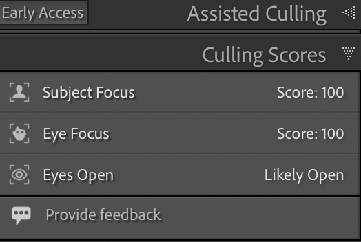 Screenshot of a photo editing app showing culling scores for subject focus, eye focus, and eyes open status.