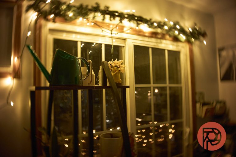 String lights and greenery hang above a window; watering cans and plants sit on a shelf in front.