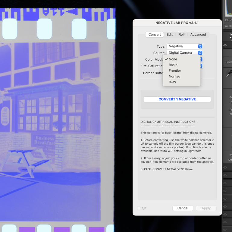 A negative film scan is being converted using the Negative Lab Pro plugin in a photo editing program.