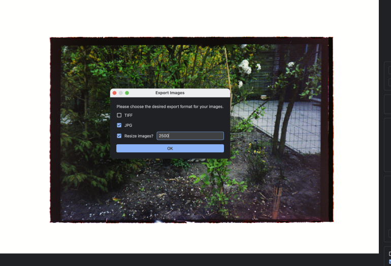 A photo export menu appears over a garden scene with trees, plants, and a concrete path.
