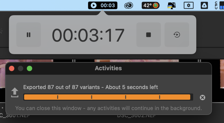 Screen showing a timer at 3:17 and a progress bar exporting 87 of 87 variants with 5 seconds left.