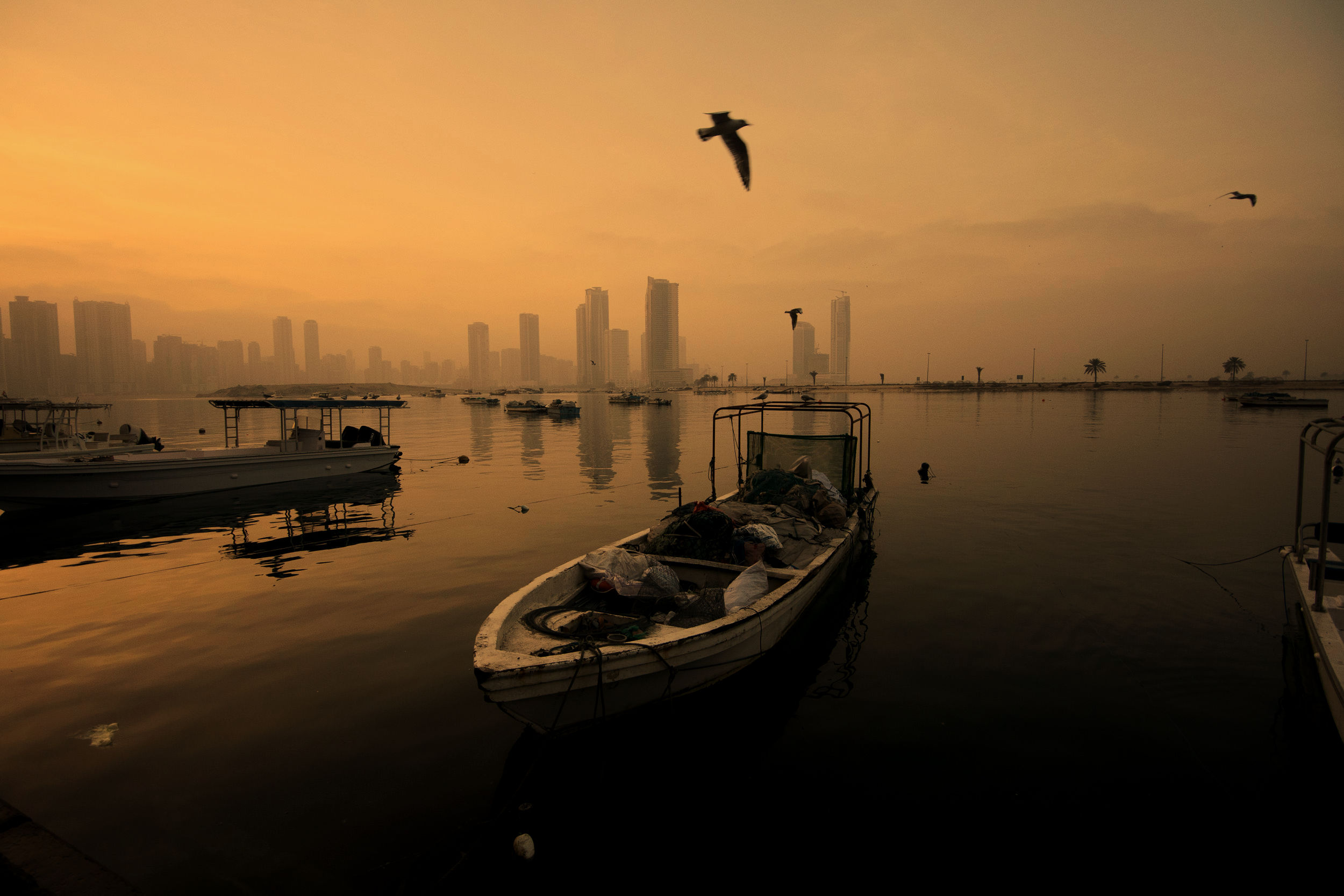 Fishing boats on calm water at sunset with city skyline and birds flying in the orange sky.