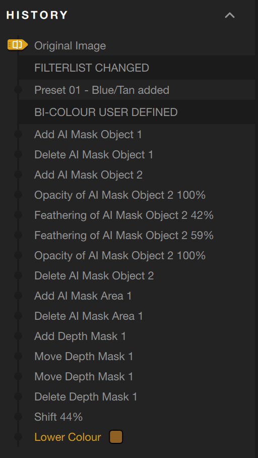 A photo editing history panel showing filter, mask, opacity, feather, move, shift, and color change steps.