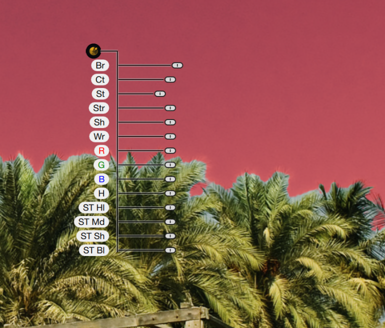 A colorful diagram with abbreviations over palm trees and a pink sky.