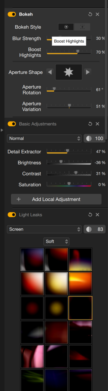 Editing panel with bokeh, basic adjustments, and light leaks filter settings shown in a photo editing software.