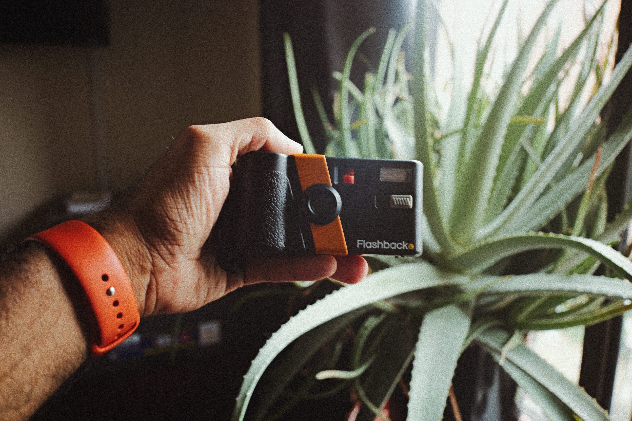 The Flashback 35 V2 Just Became one of the Best Compact Cameras A hand holding a black and orange Flashback camera, with an aloe vera plant in the background by a window.
