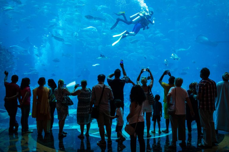 A group of people watch divers and many fish in a large aquarium, some taking photos with their phones.