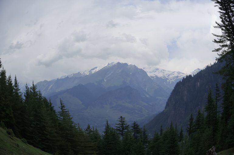 Snow-capped mountains under a cloudy sky with dense green pine trees in the foreground.