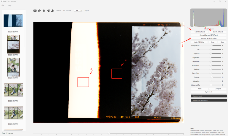 Film negative being color corrected in editing software, showing cherry blossoms and adjustment sliders on the right.