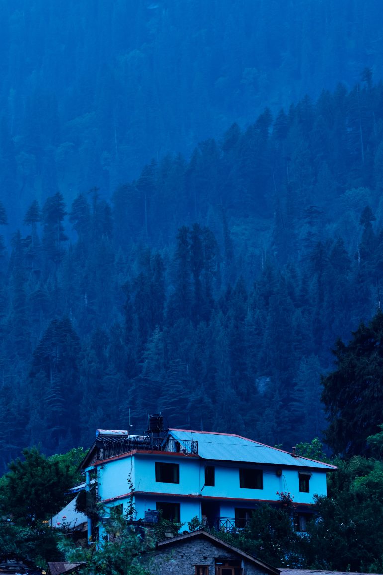 A white house with a blue roof stands among trees, with a dense blue forest in the background.